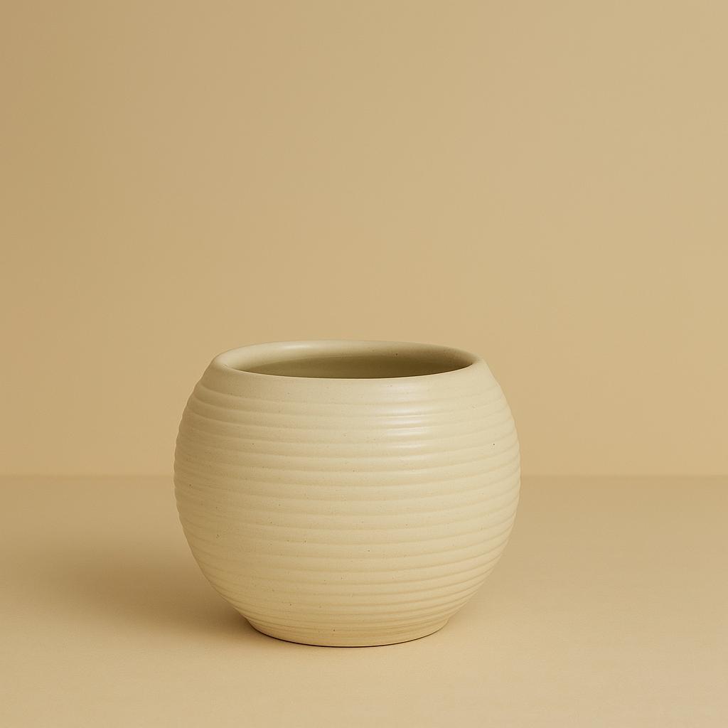 "Sandshell Ribbed Planter"