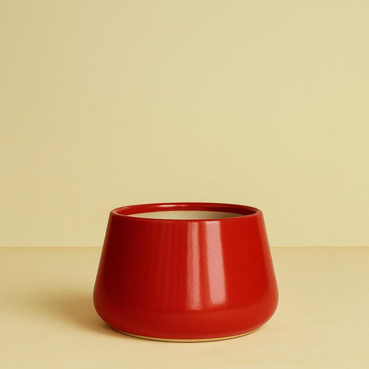 Crimson Curve Planter