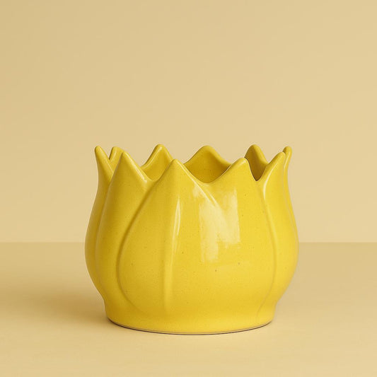 Sun Bloom Planter